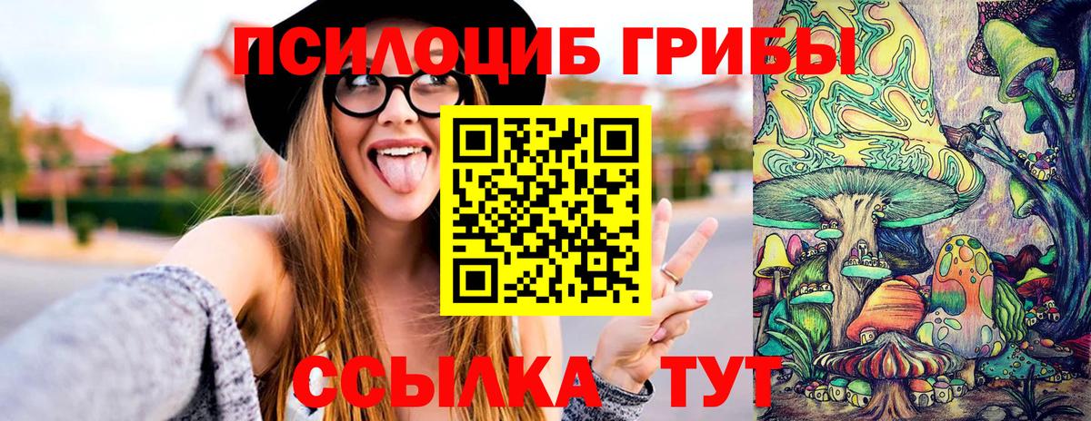 Галлюциногенные грибы мухоморы  Вход с VPN  Галлюциногенные грибы прущие грибы  Камышин 
