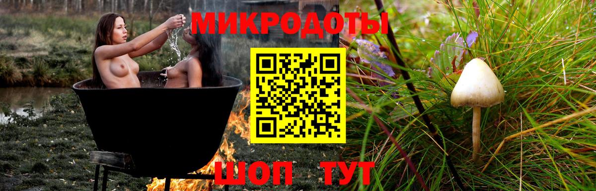Псилоцибиновые грибы MAGIC MUSHROOMS Камышин